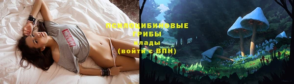хмурый Алексеевка