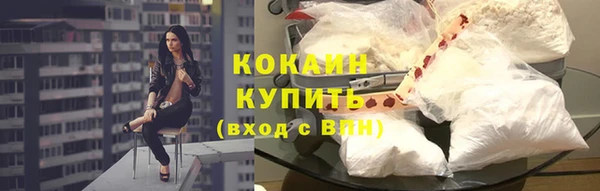 твердый Абаза