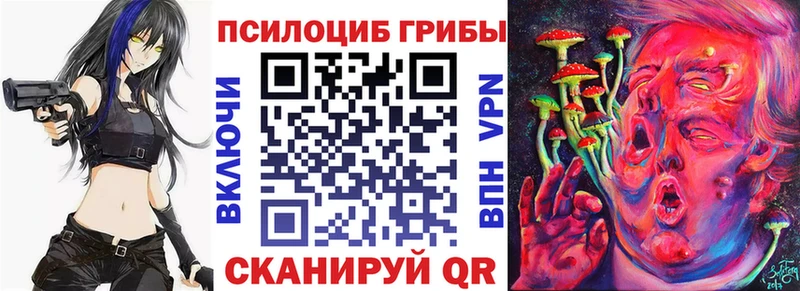 Галлюциногенные грибы Cubensis Новотитаровская