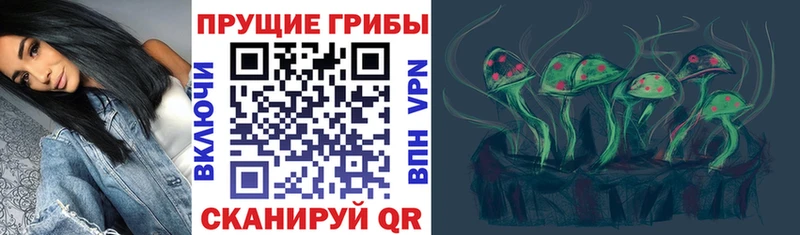 Галлюциногенные грибы Psilocybe Новотитаровская