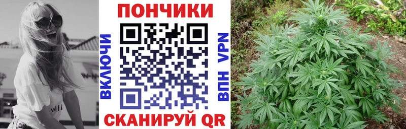 купить наркотики цена  кракен как войти  Бошки марихуана White Widow  Новотитаровская 